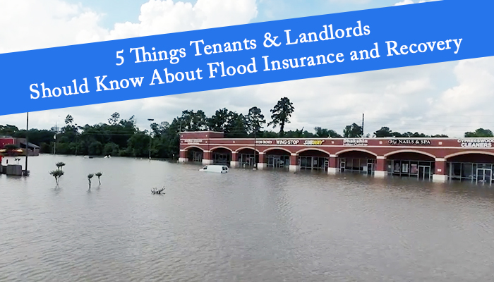 What Should You Do After Your Business Has Flooded?