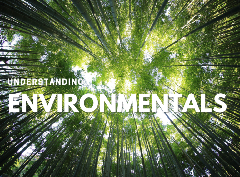 Understanding Environmentals